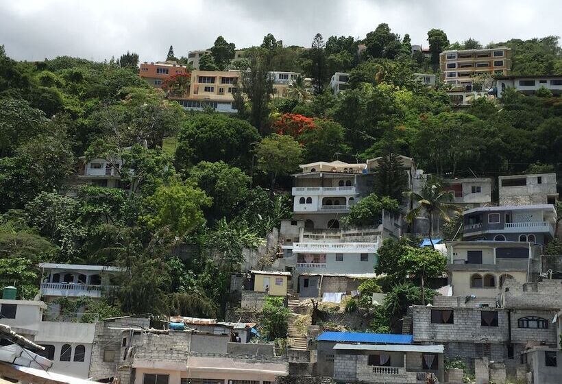 Tropical Bed & Breakfast