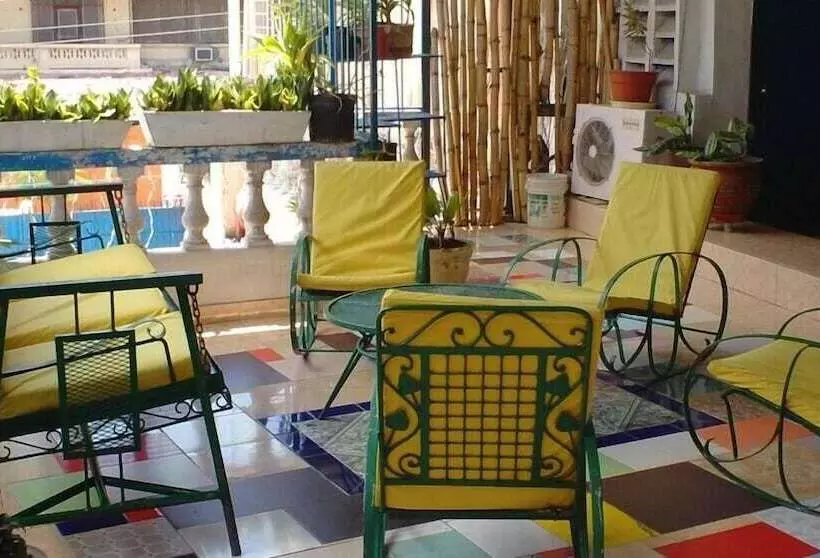 Tropical Bed & Breakfast