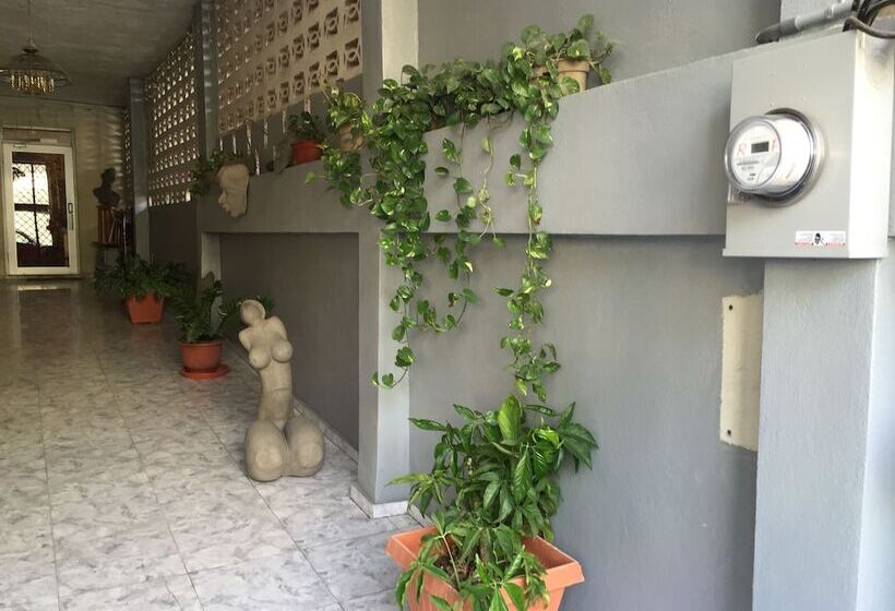 Tropical Bed & Breakfast