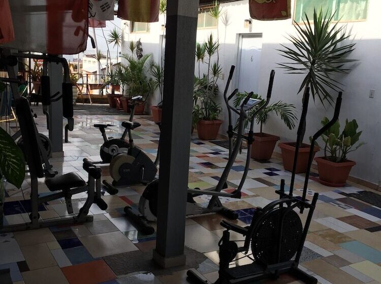 Tropical Bed & Breakfast