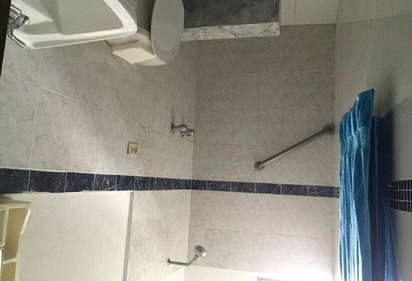 Tropical Bed & Breakfast