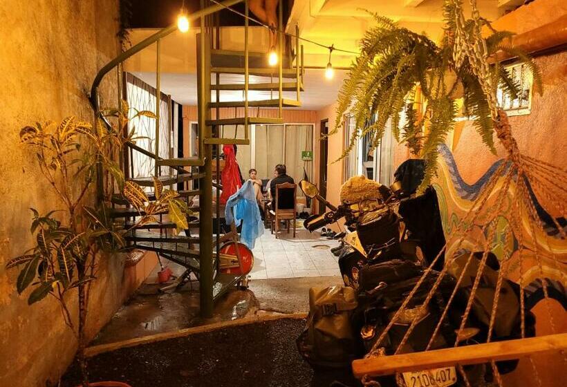 הוסטל Alpha Arenal Homely