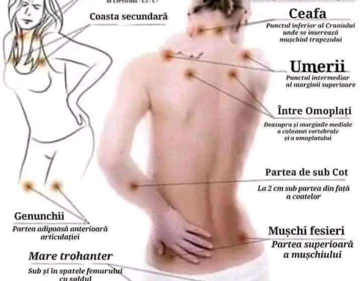 پانسیون Casa Garden Eforie