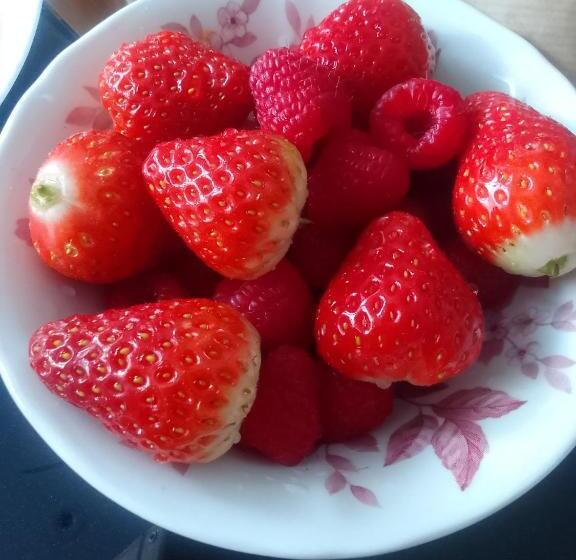 پانسیون Casa Garden Eforie