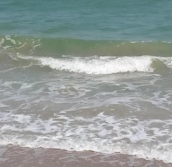 پانسیون Casa Garden Eforie