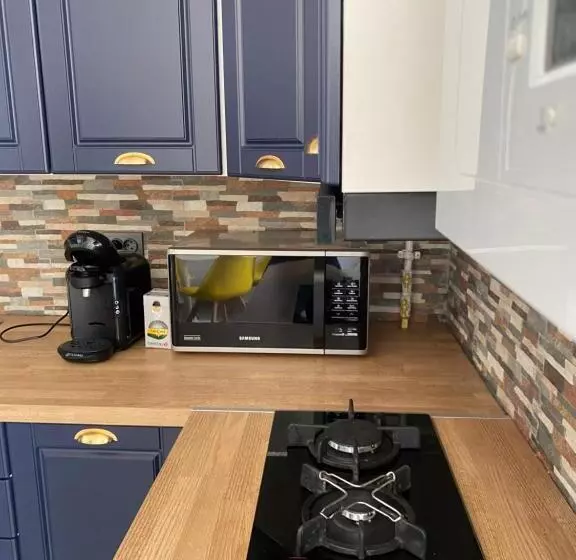 Aamiaismajoitus (B&B) Casa Cojocaru