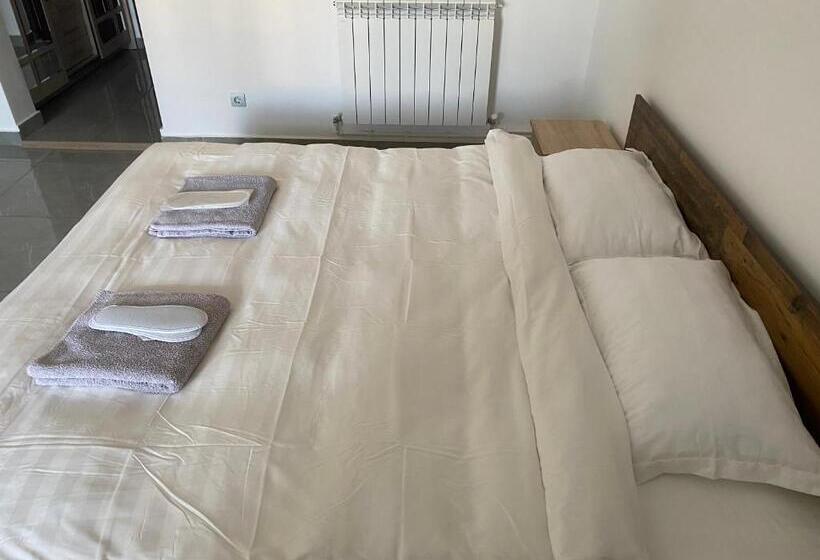 مبيت وإفطار Casa Cojocaru