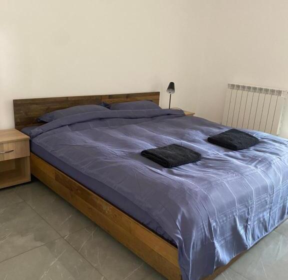 مبيت وإفطار Casa Cojocaru