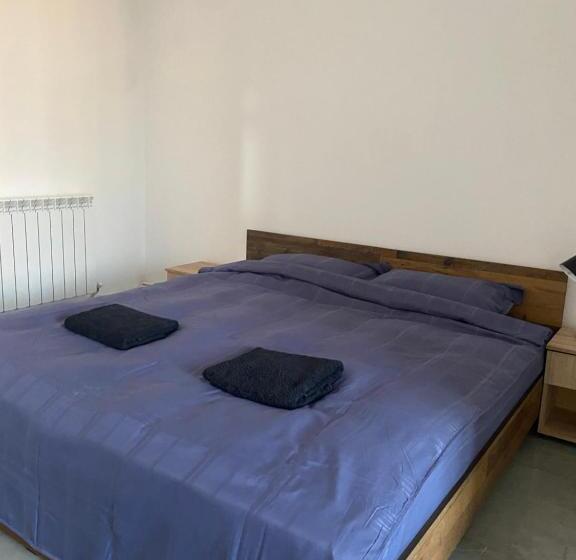 مبيت وإفطار Casa Cojocaru