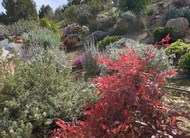 פנסיון Finca Altozano   Private Pool   Unique Client