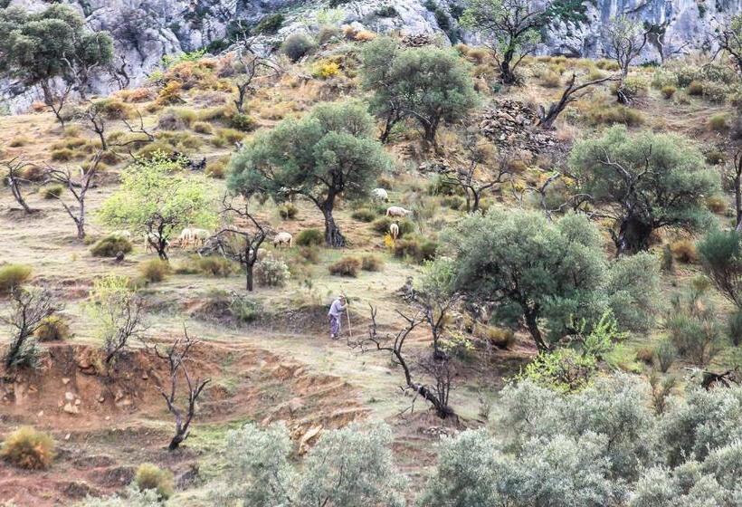 פנסיון Finca Altozano   Private Pool   Unique Client