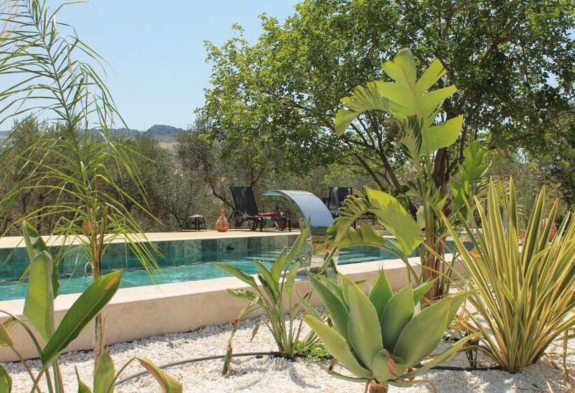 פנסיון Finca Altozano   Private Pool   Unique Client