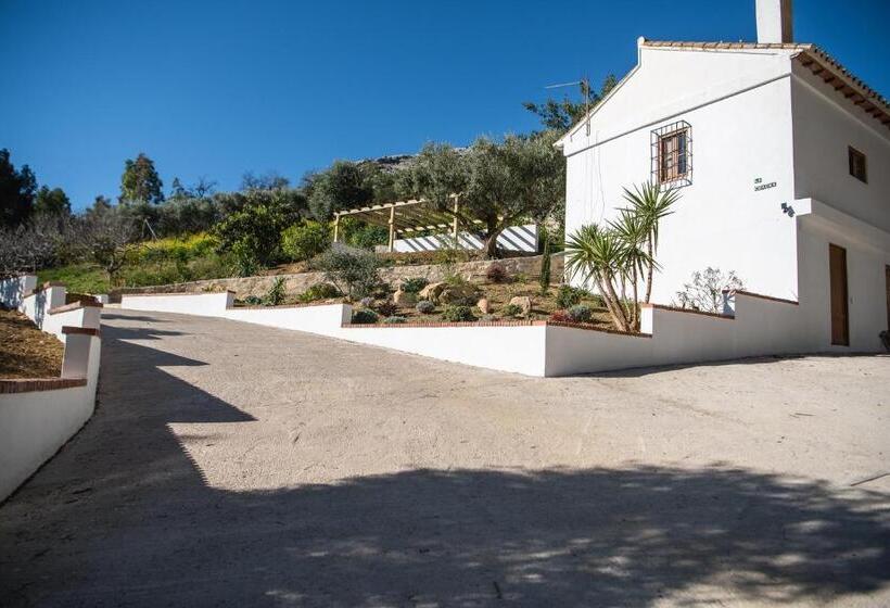 פנסיון Finca Altozano   Private Pool   Unique Client