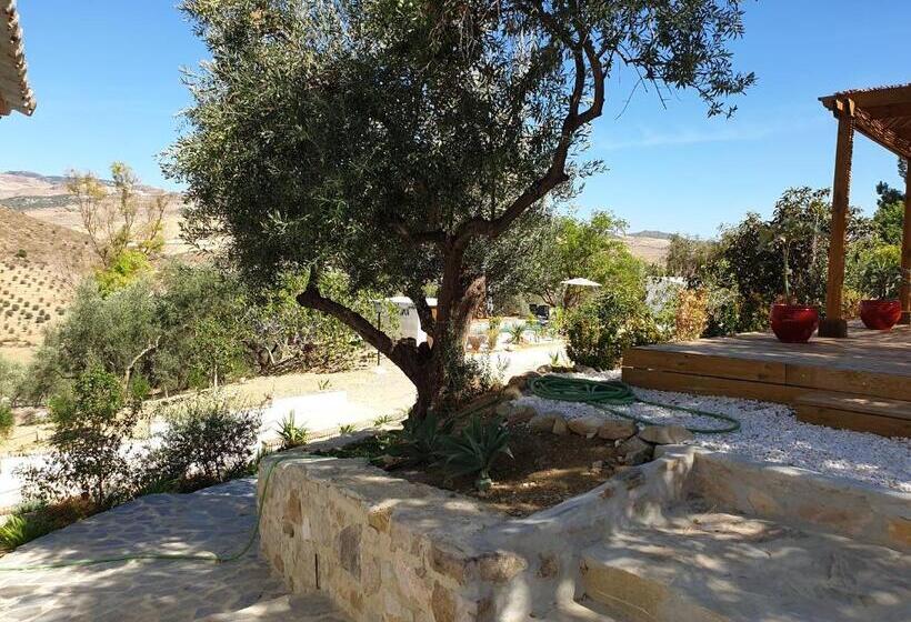 פנסיון Finca Altozano   Private Pool   Unique Client