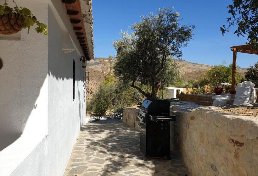 פנסיון Finca Altozano   Private Pool   Unique Client