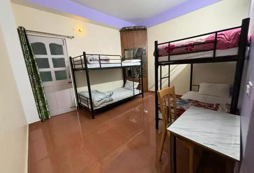 Zu Zu Hostels