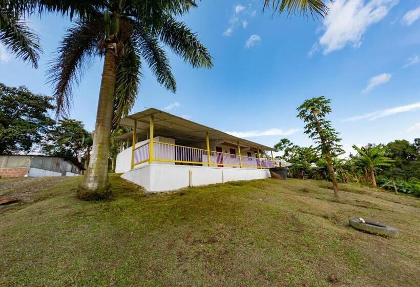 هاستل Rancho Chihuahua