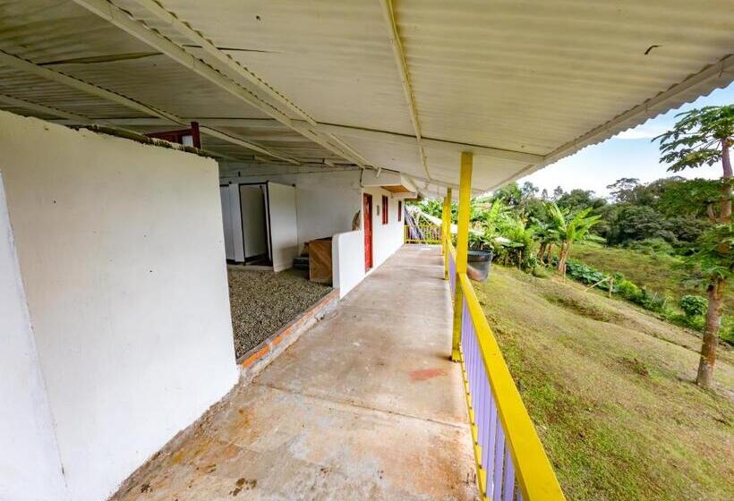 هاستل Rancho Chihuahua