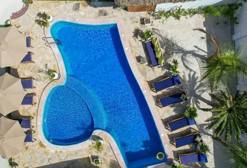 Aamiaismajoitus (B&B) Amber Lodge