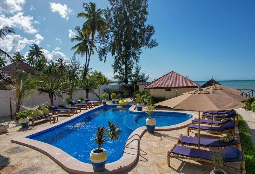 ベッドアンドブレックファースト Amber Lodge