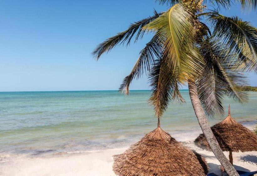 ベッドアンドブレックファースト Amber Lodge