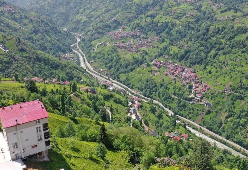 בית מלון כפרי Burahan Suite