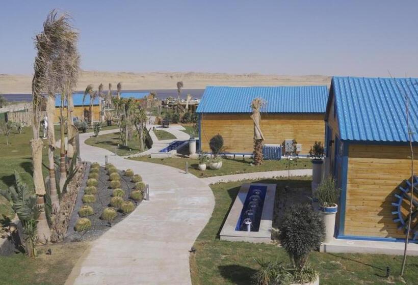 هتل Venecia Resort Fayoum