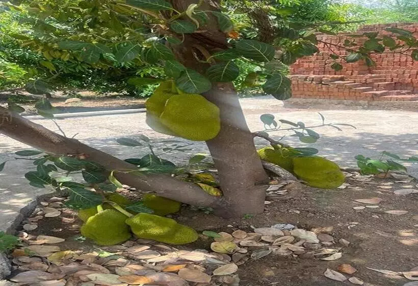 ホテル Manav Farm House Karjat
