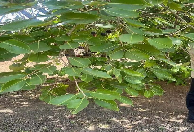 ホテル Manav Farm House Karjat