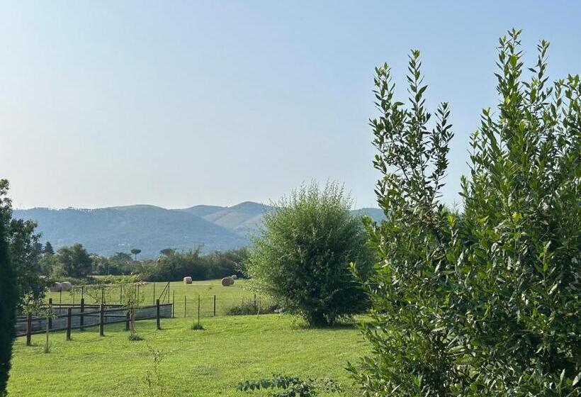 ペンション Casa Mala’