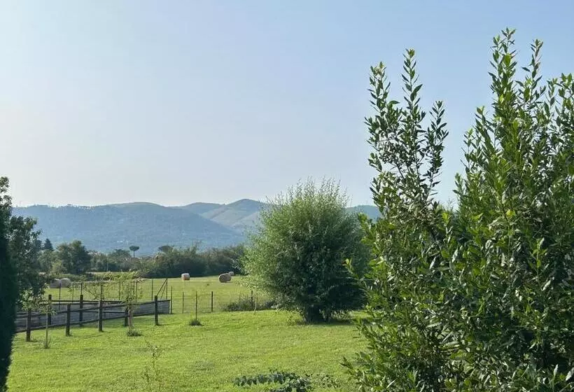 Majatalo Casa Mala’