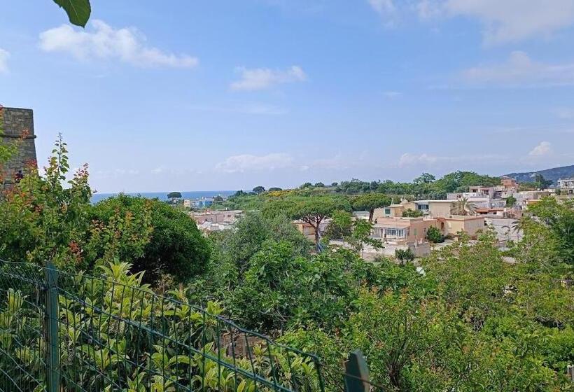 צימר Passariello