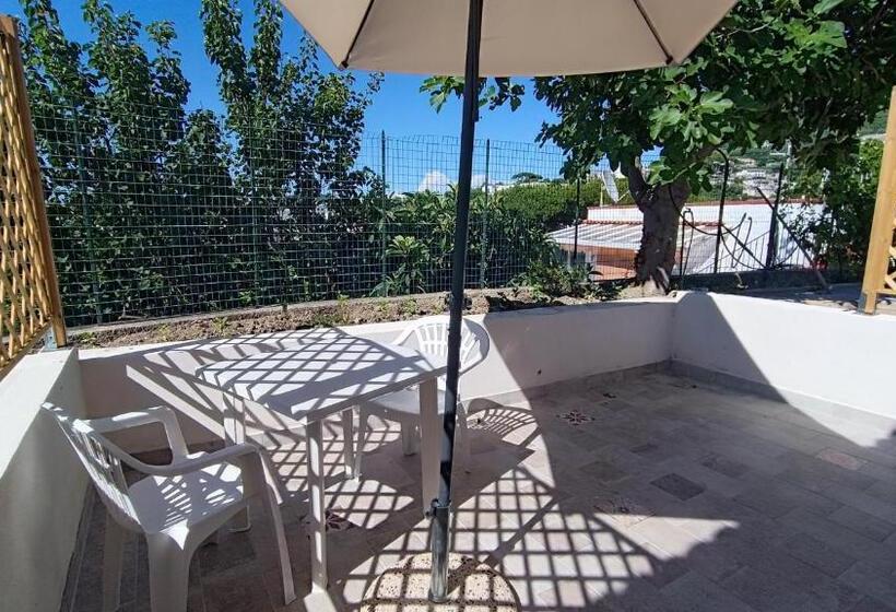 צימר Passariello