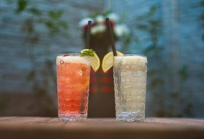 تختخواب و صبحانه Vila Venus