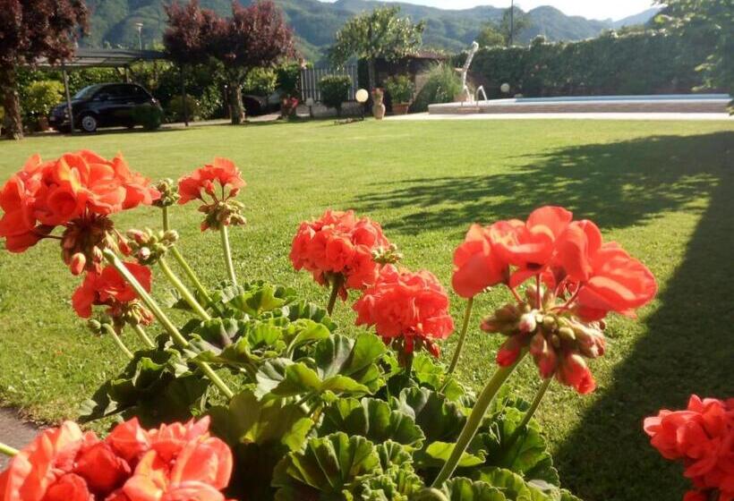 פנסיון Le Sette Fontane