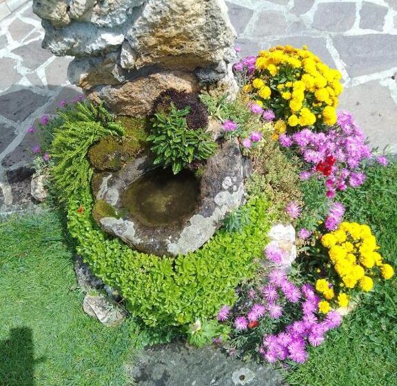 פנסיון Le Sette Fontane