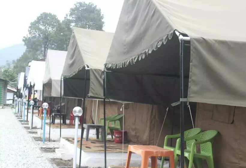 Resort Djsr Camp