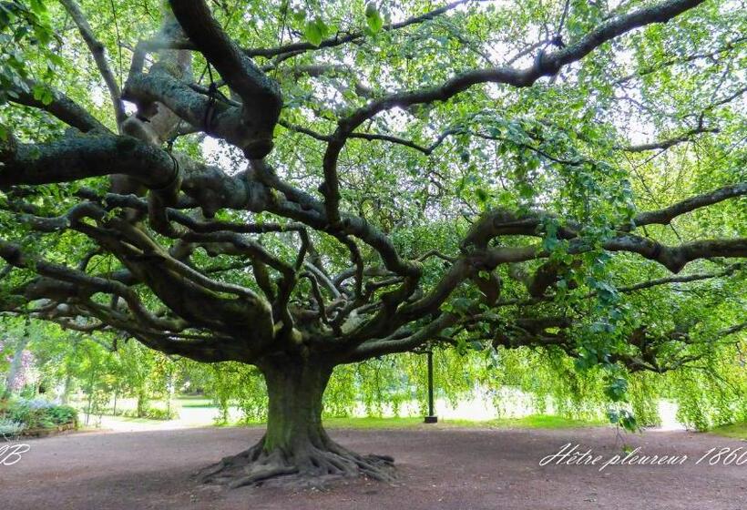 تختخواب و صبحانه Pierre De Lune