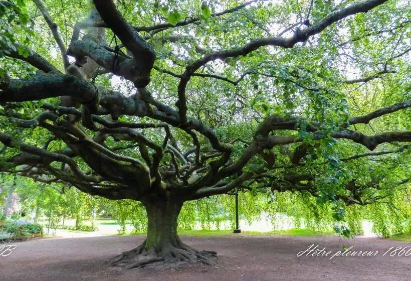 تختخواب و صبحانه Pierre De Lune