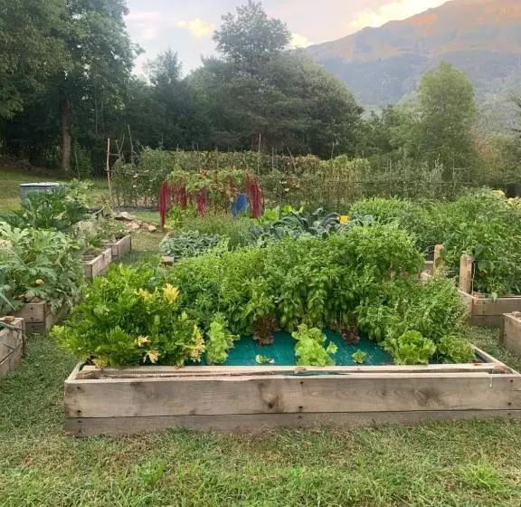 ホテル Agriturismo Il Viandante
