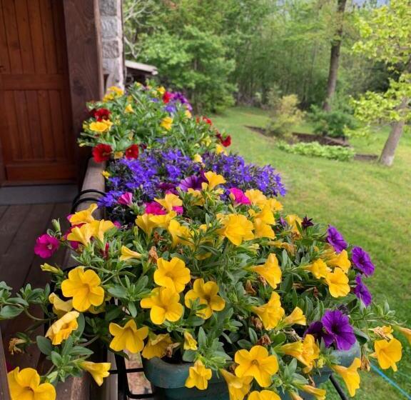 Отель Agriturismo Il Viandante