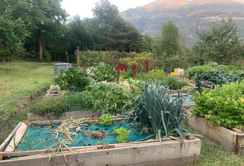 Отель Agriturismo Il Viandante