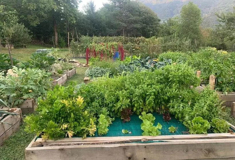 ホテル Agriturismo Il Viandante