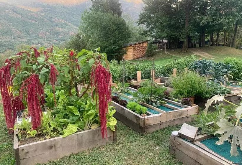 ホテル Agriturismo Il Viandante