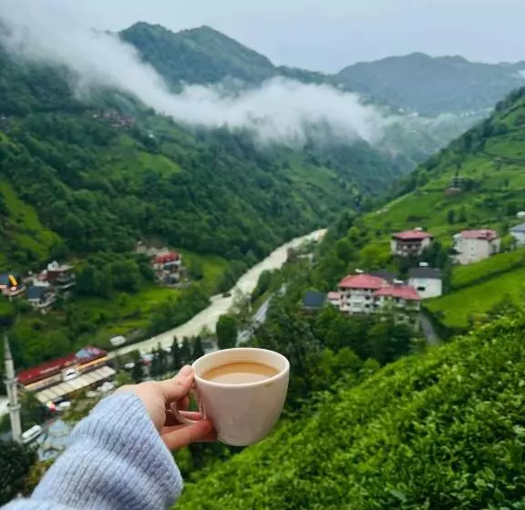 Hotelli Valent Suit Bungalov