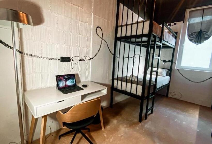 هاستل Magic Point