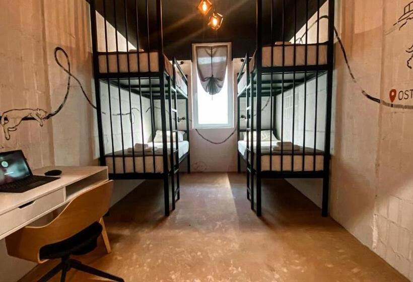 هاستل Magic Point