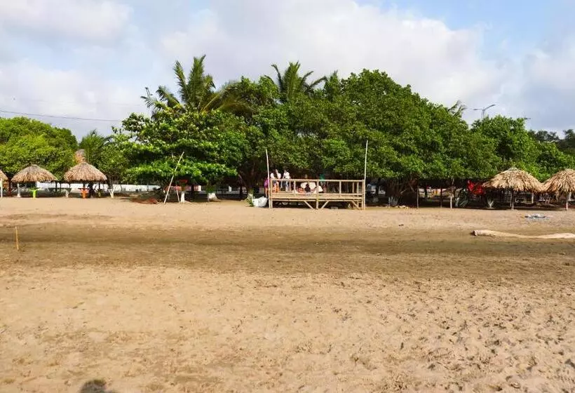 ホテル Casa Del Mar