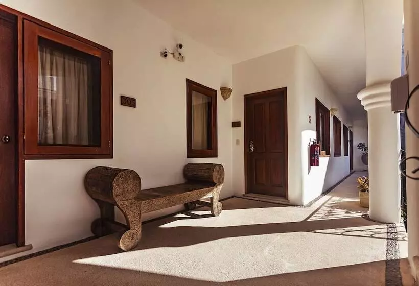 Fabiola Condo
