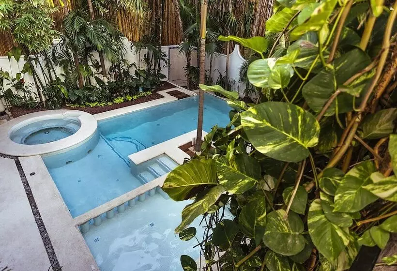 Fabiola Condo
